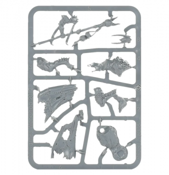 BrayShamanSprue