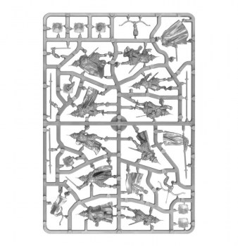 WarriorsDaleSprue01