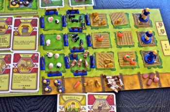 agricola26