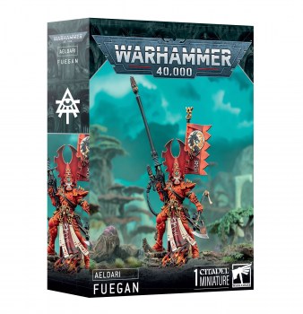 https___trade.games-workshop.com_assets_2025_01_99120104103_AELFuegan03