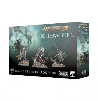 https___trade.games-workshop.com_assets_2025_05_99120207175_BLBladesoftheHollowKingNarrativeSet5