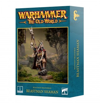 https___trade.games-workshop.com_assets_2025_05_99122716001_TOWBBShaman03