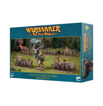 https___trade.games-workshop.com_assets_2025_05_99122716007_TOWBBBattalion02