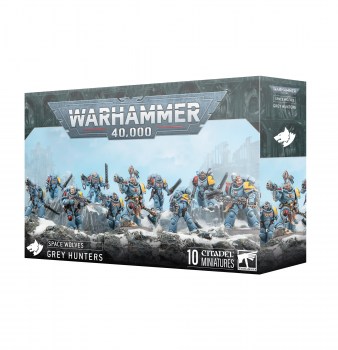 https___trade.games-workshop.com_assets_2025_06_99120101433_SpaceWolvesGreyHuntersSquad2