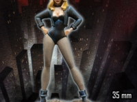 BLACK CANARY (ANIMATED SERIES)