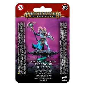 DISCIPLES OF TZEENTCH: TZAANGOR SHAMAN