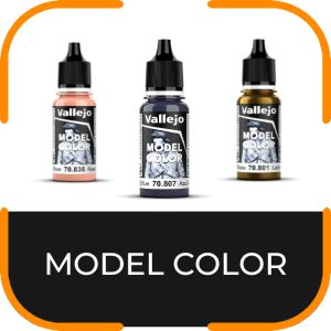 MODEL COLOR