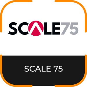 PINTURAS SCALE 75