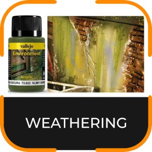 WEATHERING VALLEJO
