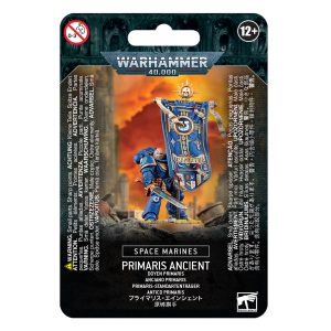 SPACE MARINES: ANCIANO PRIMARIS