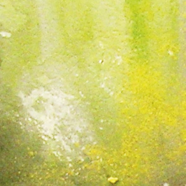 73823 - Suciedad Húmeda Clara - Imagen 2