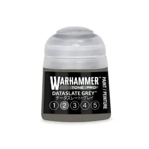 TONE: DATASLATE GREY 2